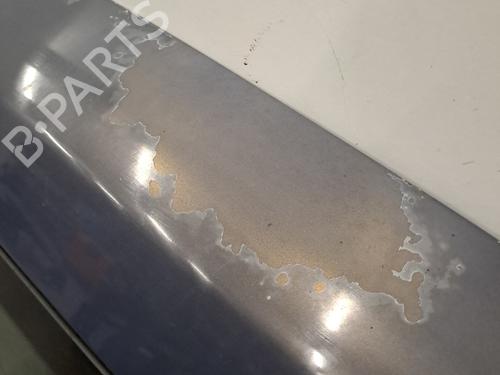 Tailgate RENAULT KANGOO Express (FC0/1_) 1.5 dCi (FC07, FC1R) | BP29961998C6