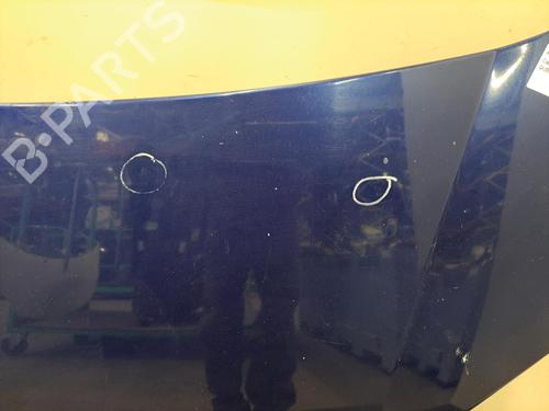 Used Hood FIAT QUBO (225_) 1.4 (225AXA1A) (73 hp) 28407712