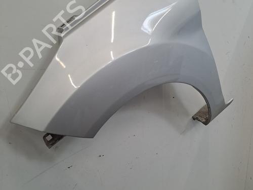 Left front fenders FORD FIESTA VI (CB1, CCN) 1.25 | BP29635147C41 