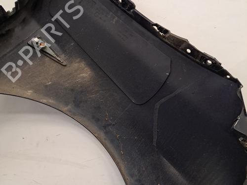 Left front fenders RENAULT ESPACE IV (JK0/1_) 2.0 dCi (JK01, JK02, JK1J, JK1K, JK1H) | BP30391805C41