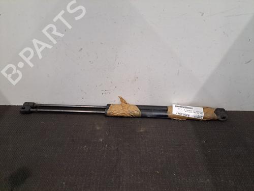 Used Tailgate lift support RENAULT SCÉNIC II (JM0/1_) 1.6 16V (JM1R) (112 hp) 28398289