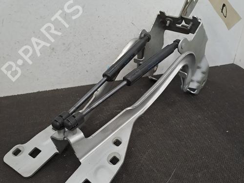 Used Hinge/Door check strap RENAULT SCÉNIC III (JZ0/1_) 1.6 dCi (JZ00, JZ12) (130 hp) 29326819