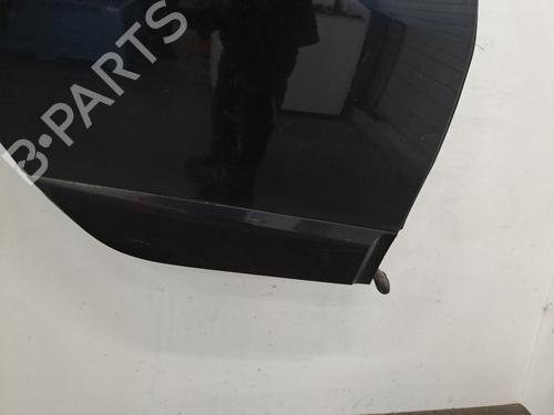Left rear door RENAULT SCÉNIC III (JZ0/1_) 1.9 dCi (JZ0J, JZ1J, JZ1K, JZ1S) | BP28406943C4 