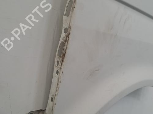 Left front fenders VW TRANSPORTER T5 Van (7HA, 7HH, 7EA, 7EH) 1.9 TDI | BP29077789C41 