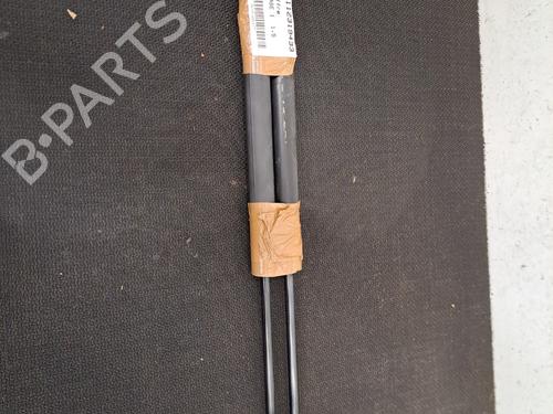 Used Tailgate lift support RENAULT SCÉNIC III (JZ0/1_) 1.5 dCi (110 hp) 29501704