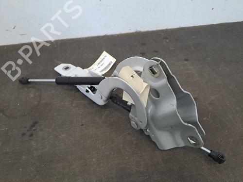 Hinge/Door check strap RENAULT ZOE (BFM_) ZOE | BP28395235C146 - Image 2