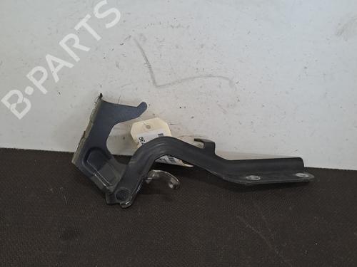 Hinge/Door check strap NISSAN JUKE (F15) 1.5 dCi | BP28395885C146 