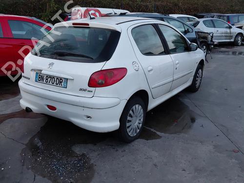 Right front door PEUGEOT 206 Hatchback (2A/C) 1.4 HDi eco 70 | BP30731027C3