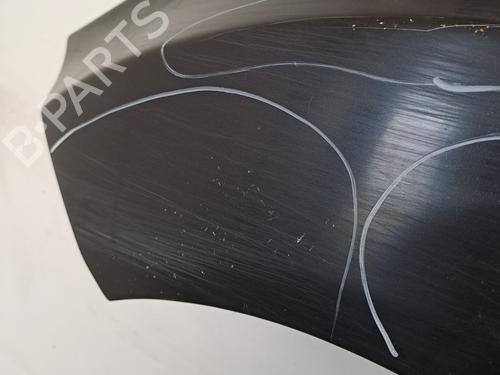 Left front fenders FORD FIESTA VI (CB1, CCN) 1.4 TDCi | BP28395411C41 