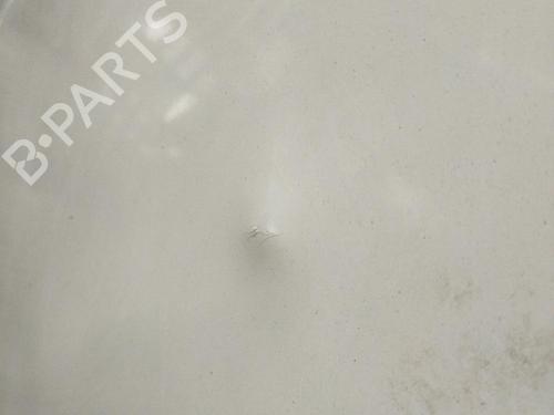 Hood RENAULT RAPID Box Body/MPV (F40_, G40_) 1.9 D (F40R) | BP28391569C1 