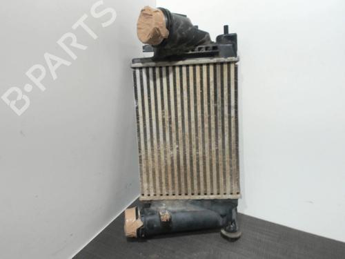 Intercooler RENAULT KADJAR (HA_, HL_) 1.6 dCi 130 4x4 (HLA4) | BP28399875M30 - Image 3