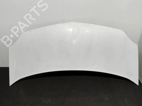 Used Hood RENAULT KANGOO / GRAND KANGOO II (KW0/1_) 1.5 dCi 90 (KW05, KW08, KW0G, KW11) (90 hp) 28393970
