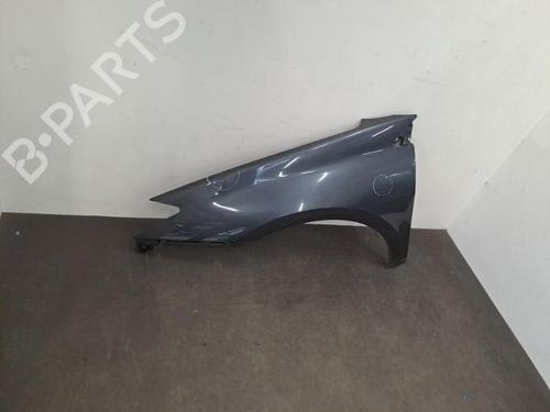 Used Left front fenders RENAULT LAGUNA III (BT0/1) 2.0 dCi (BT0M, BT0N, BT0S, BT19, BT1F) (173 hp) 28390832