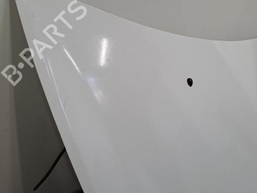 Hood RENAULT CLIO III (BR0/1, CR0/1) 1.5 dCi (C/BR0G, C/BR1G) | BP28398836C1 
