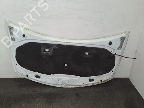 Hood RENAULT CLIO III (BR0/1, CR0/1) 1.5 dCi (C/BR0G, C/BR1G) | BP28401213C1 
