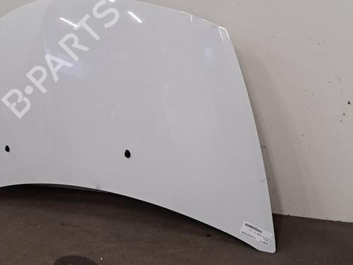 Hood RENAULT CLIO III (BR0/1, CR0/1) 1.5 dCi (C/BR0G, C/BR1G) | BP29499014C1 