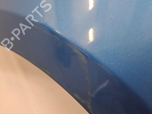 Left front fenders RENAULT CLIO III (BR0/1, CR0/1) 1.4 16V | BP29567253C41