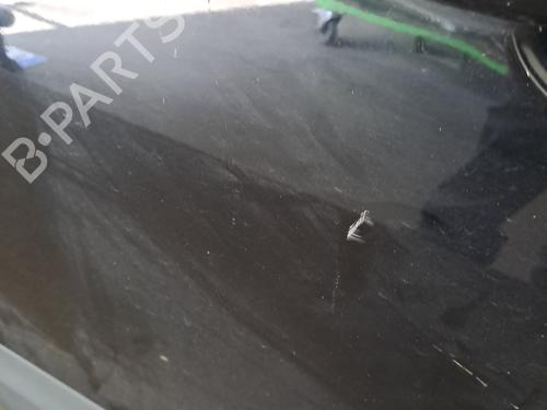Left front door RENAULT SCÉNIC III (JZ0/1_) 1.5 dCi | BP29193726C2 