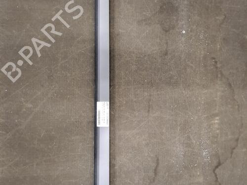Used Door moulding trim RENAULT CLIO V (B7_) 1.3 TCe 130 (B7MF) (131 hp) 29268550