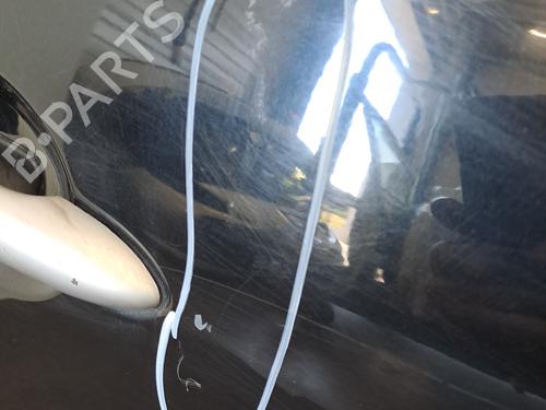 Right front door RENAULT SCÉNIC III (JZ0/1_) 1.6 dCi (JZ00, JZ12) | BP28400785C3 