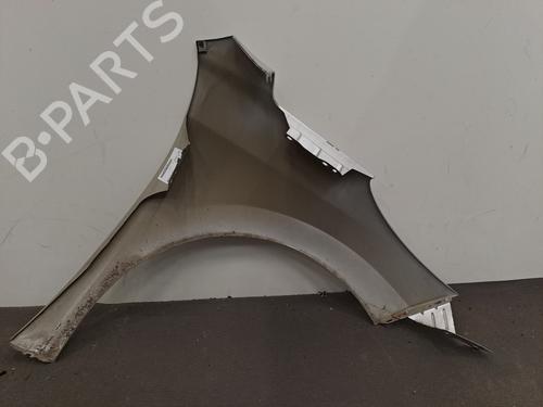 Left front fenders PEUGEOT 207 (WA_, WC_) 1.4 | BP29425757C41 