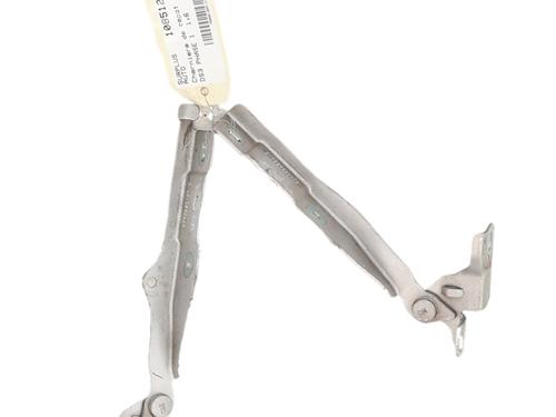 hingedoor-check-strap-citroen-ds3-sa_-2009-2010-2011-2012-2013-2014-2015-2016-37022074 main image