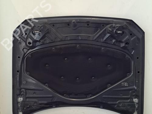 Hood BMW 1 (F20) 120 d | BP29481939C1 