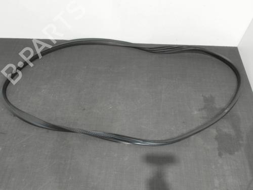 Used Rubber door seal RENAULT CLIO V (B7_) 1.0 TCe 100 (B7MT) (101 hp) 28394137