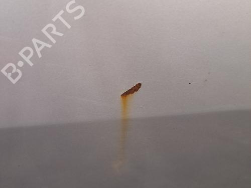 Right rear door RENAULT MEGANE II (BM0/1_, CM0/1_) 1.5 dCi (BM1E, CM1E) | BP28409219C5