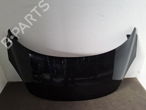 Used Hood RENAULT SCÉNIC III (JZ0/1_) 1.5 dCi (110 hp) 29189225