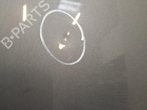 Hood PEUGEOT 308 I (4A_, 4C_) 1.6 HDi | BP28395173C1