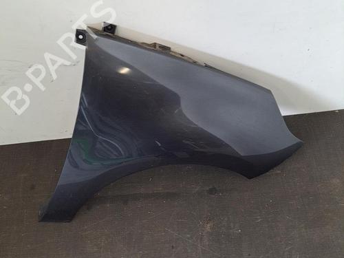 Right front fenders RENAULT SCÉNIC III (JZ0/1_) 1.9 dCi (JZ0J, JZ1J, JZ1K, JZ1S) | BP28402484C42 
