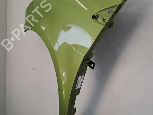 Left front fenders RENAULT CLIO III (BR0/1, CR0/1) 1.5 dCi (C/BR0G, C/BR1G) | BP29268556C41 