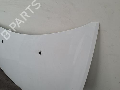 Hood RENAULT CLIO III (BR0/1, CR0/1) 1.5 dCi (C/BR0G, C/BR1G) | BP28401213C1 