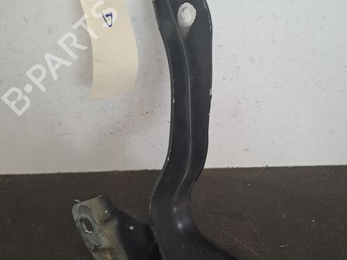 Hinge/Door check strap NISSAN QASHQAI I (J10, NJ10) 1.5 dCi | BP28389556C146 