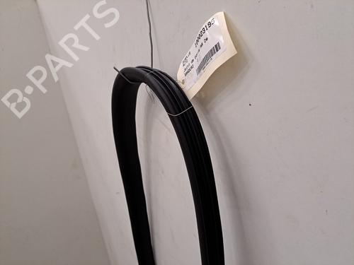 Rubber door seal DACIA SANDERO III 1.0 TCe 100 ECO-G | BP28396061C142