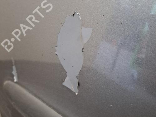 Left front door PEUGEOT 206+ (2L_, 2M_) 1.4 HDi eco 70 | BP28400373C2