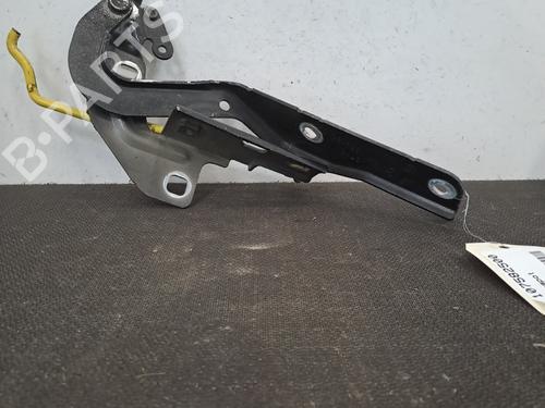 Used Hinge/Door check strap CITROËN C4 Picasso I MPV (UD_) 2.0 HDi 138 (136 hp) 28389368