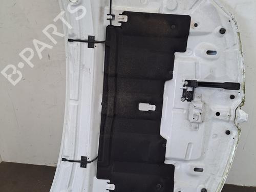 Used Hood Hood RENAULT MEGANE CC (EZ0/1_) 1.5 dCi (EZ09, EZ1G, EZ0D, EZ14) (110 hp) 34106326 34106326