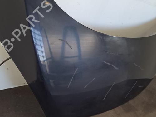 Hood RENAULT SCÉNIC III (JZ0/1_) 1.5 dCi | BP28389858C1