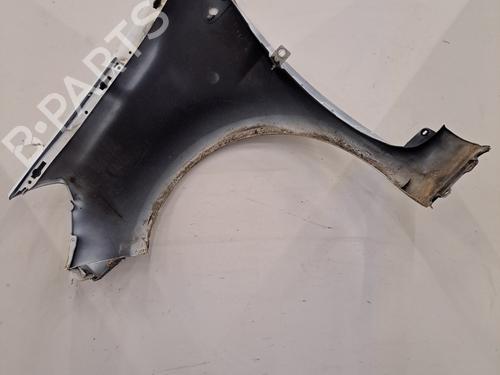 Right front fenders RENAULT CLIO III (BR0/1, CR0/1) 1.5 dCi (C/BR0G, C/BR1G) | BP29453399C42 