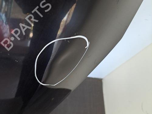 Hood RENAULT SCÉNIC III (JZ0/1_) 1.5 dCi | BP28389858C1