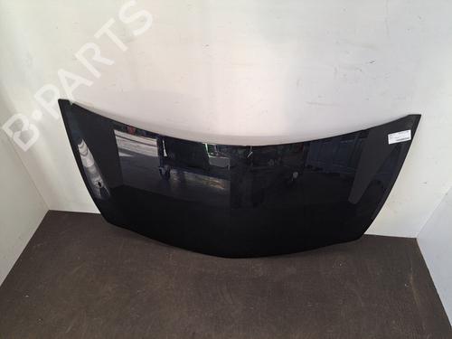 Used Hood RENAULT CLIO III (BR0/1, CR0/1) 1.2 16V Hi-Flex (BR1U, CR1U) (75 hp) 28396733