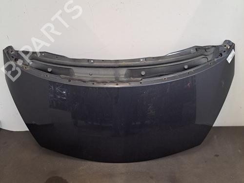 Capot RENAULT ESPACE IV (JK0/1_) 2.0 dCi (JK01, JK02, JK1J, JK1K, JK1H) (150 hp) 28389495