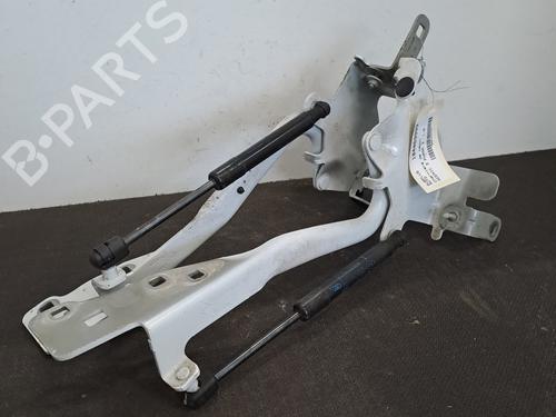 Dørhængsel/Dørbegrænser RENAULT SCÉNIC III (JZ0/1_) 1.6 dCi (JZ00, JZ12) (130 hp) 28406753