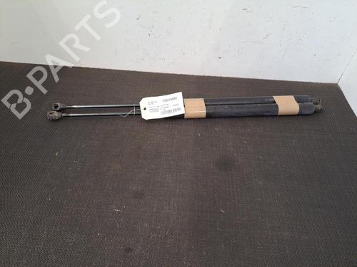 tailgate-lift-support-peugeot-partner-tepee-2008-28396774 main image