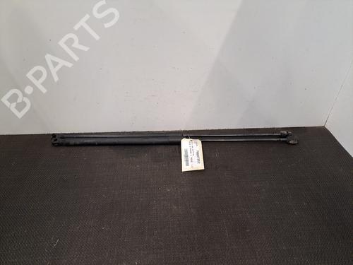 Used Tailgate lift support FORD FOCUS III 1.6 TDCi (115 hp) 28407845