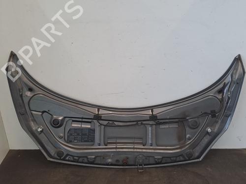 hood-renault-scenic-ii-jm01_-2003-2004-2005-2006-2007-2008-2009-2010-28567441 main image
