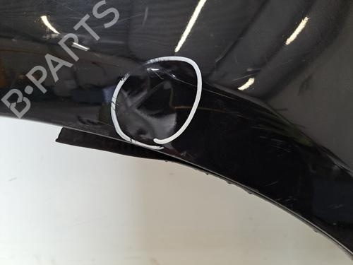 Left front fenders LAND ROVER RANGE ROVER SPORT I (L320) 3.6 D 4x4 | BP28390081C41 