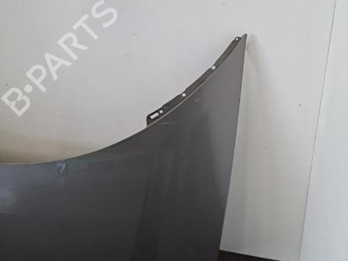 Hood LANCIA PHEDRA (179_) 2.0 JTD (179.AXE1A) | BP28404731C1 